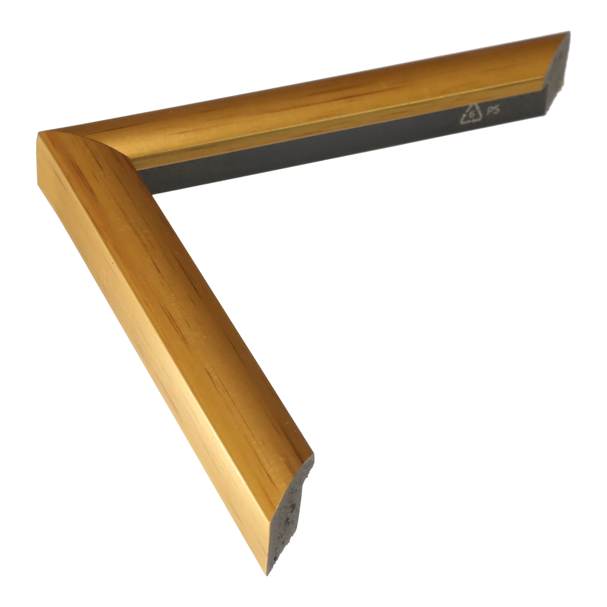 Echo in gold picture frame