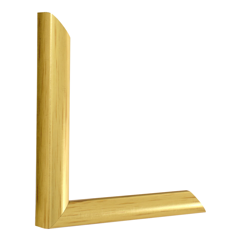 Vertical view of echo gold picture frame