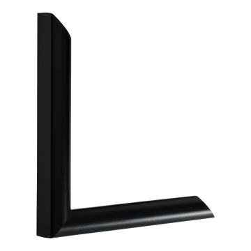 Vertical view of echo matt black picture frame sample