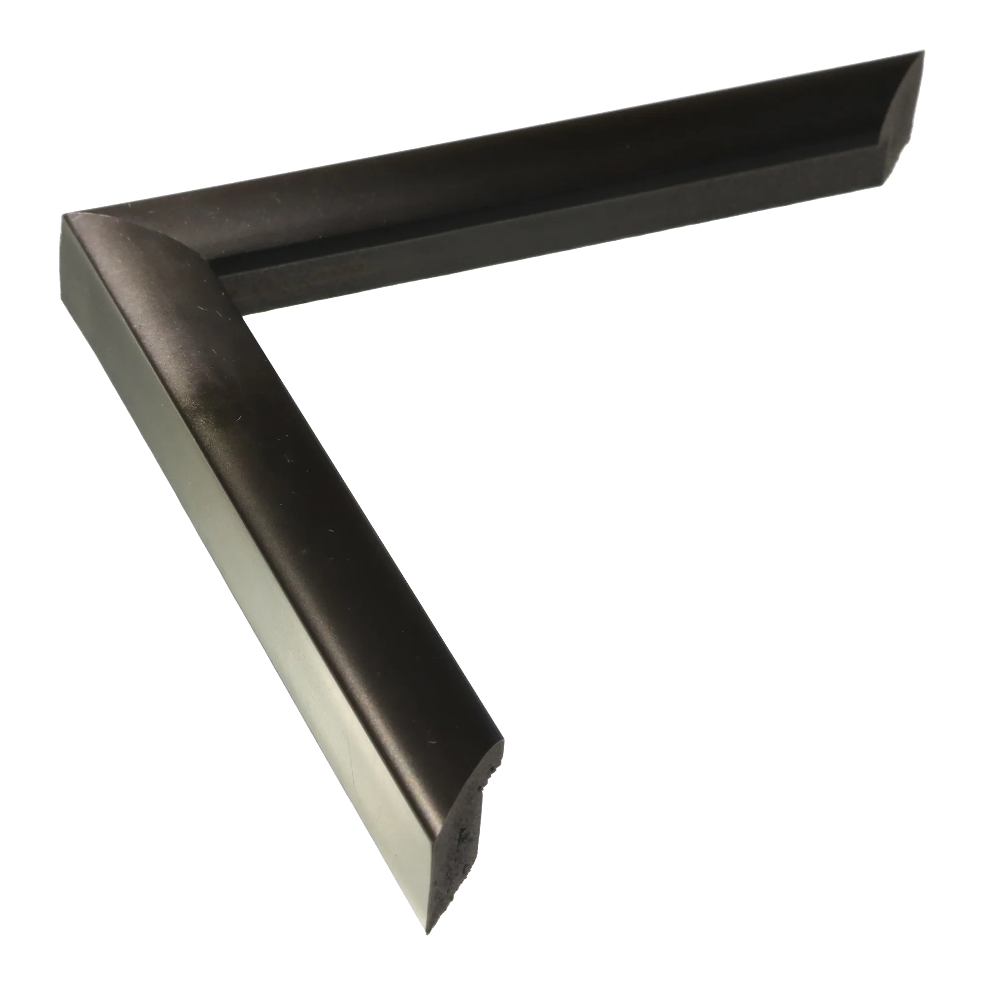 Echo in matt black picture frame