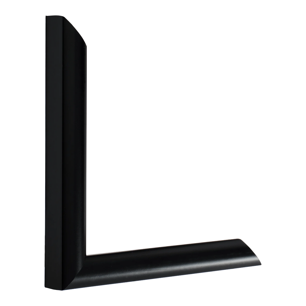 Vertical view of echo matt black picture frame