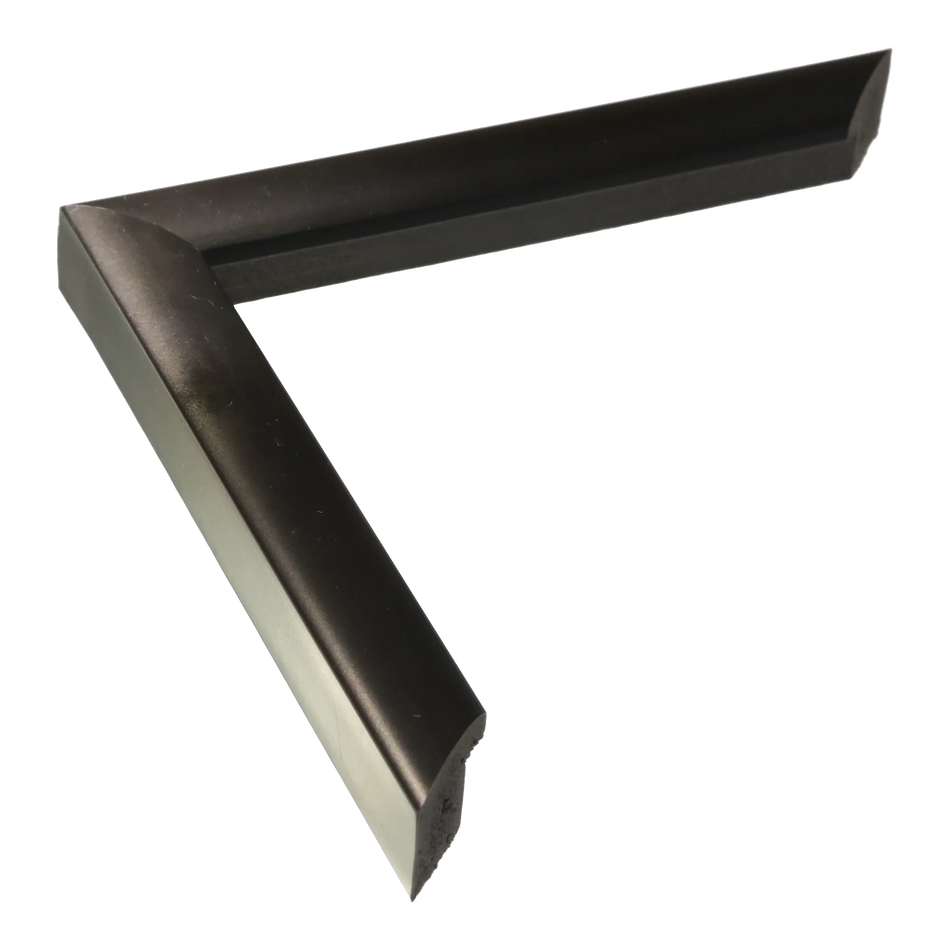 Echo in matt black picture frame