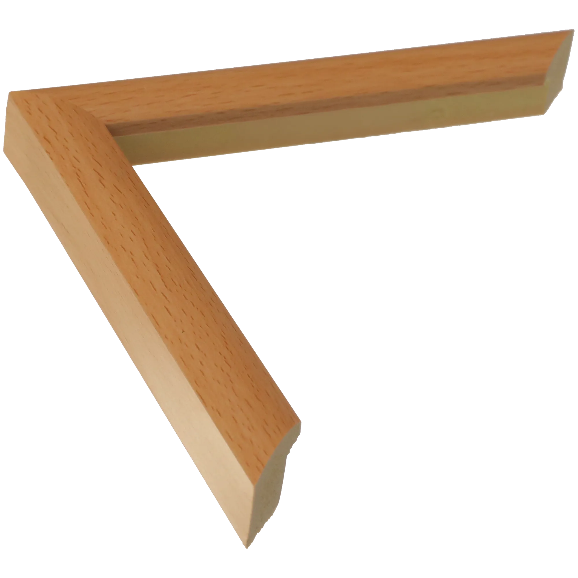 Echo in natural picture frame