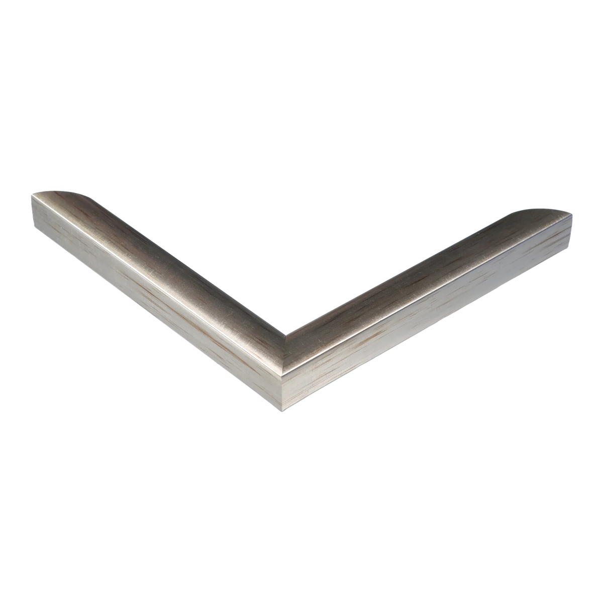 Corner view of Echo in silver picture frame