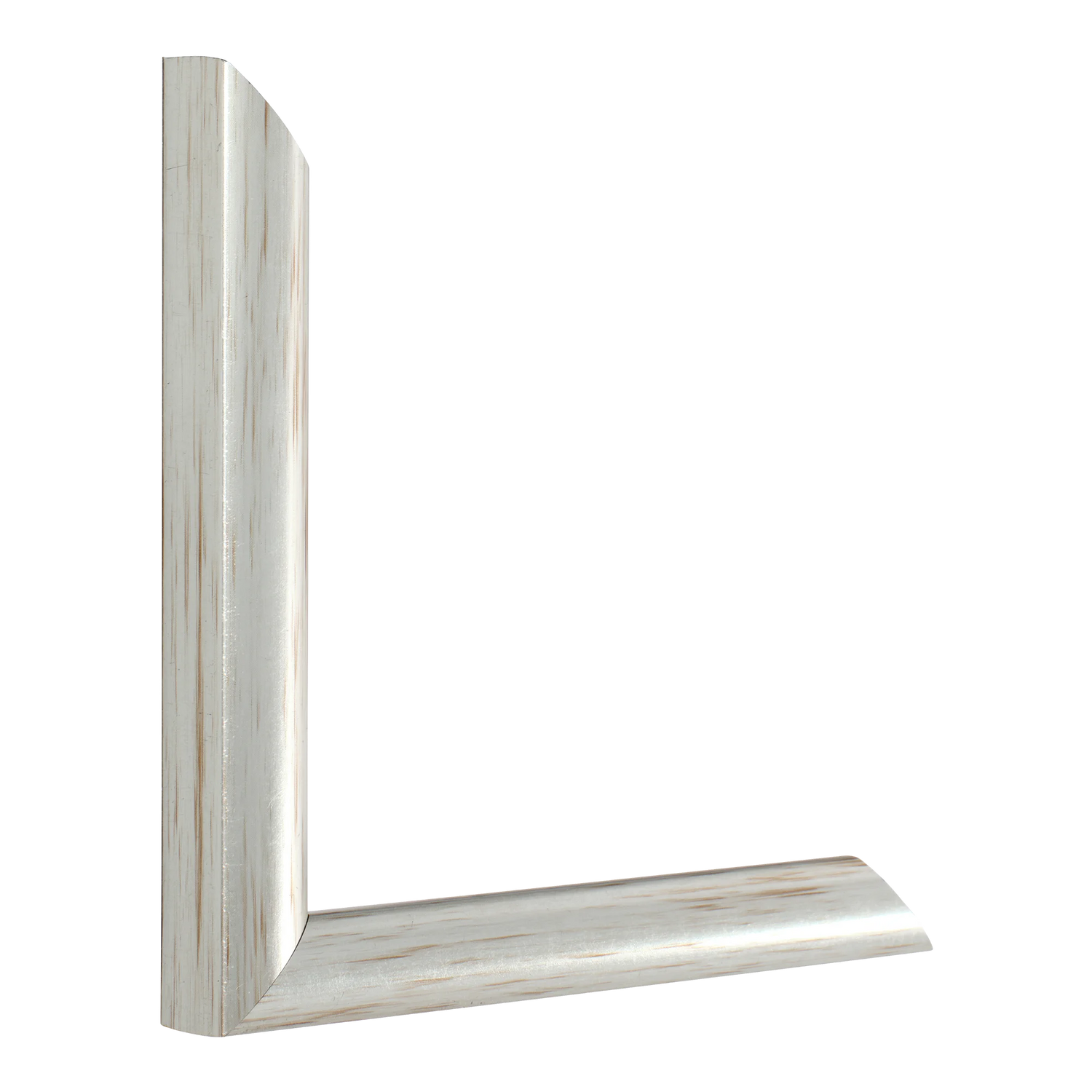 Vertical view of echo silver picture frame
