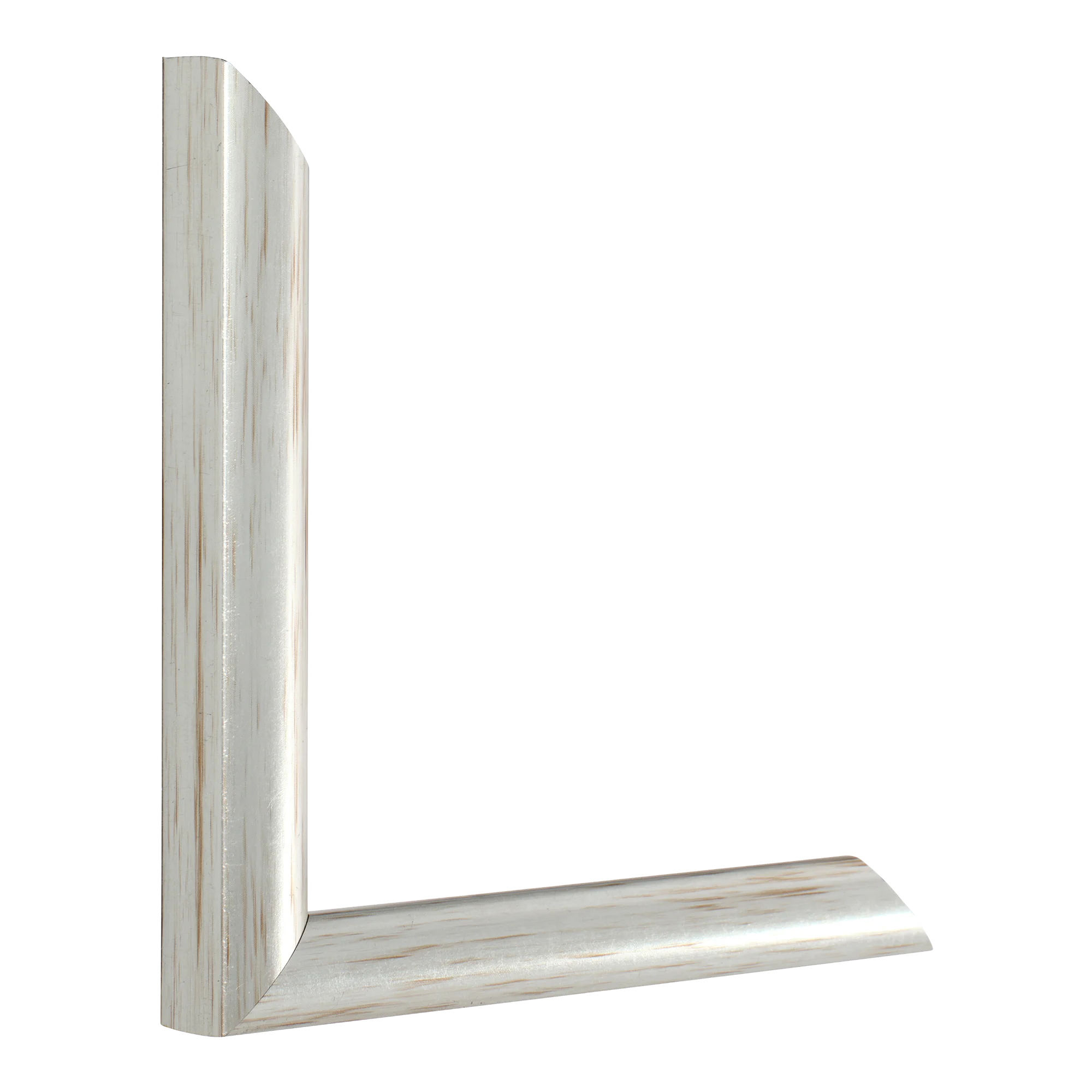 Vertical view of echo silver picture frame