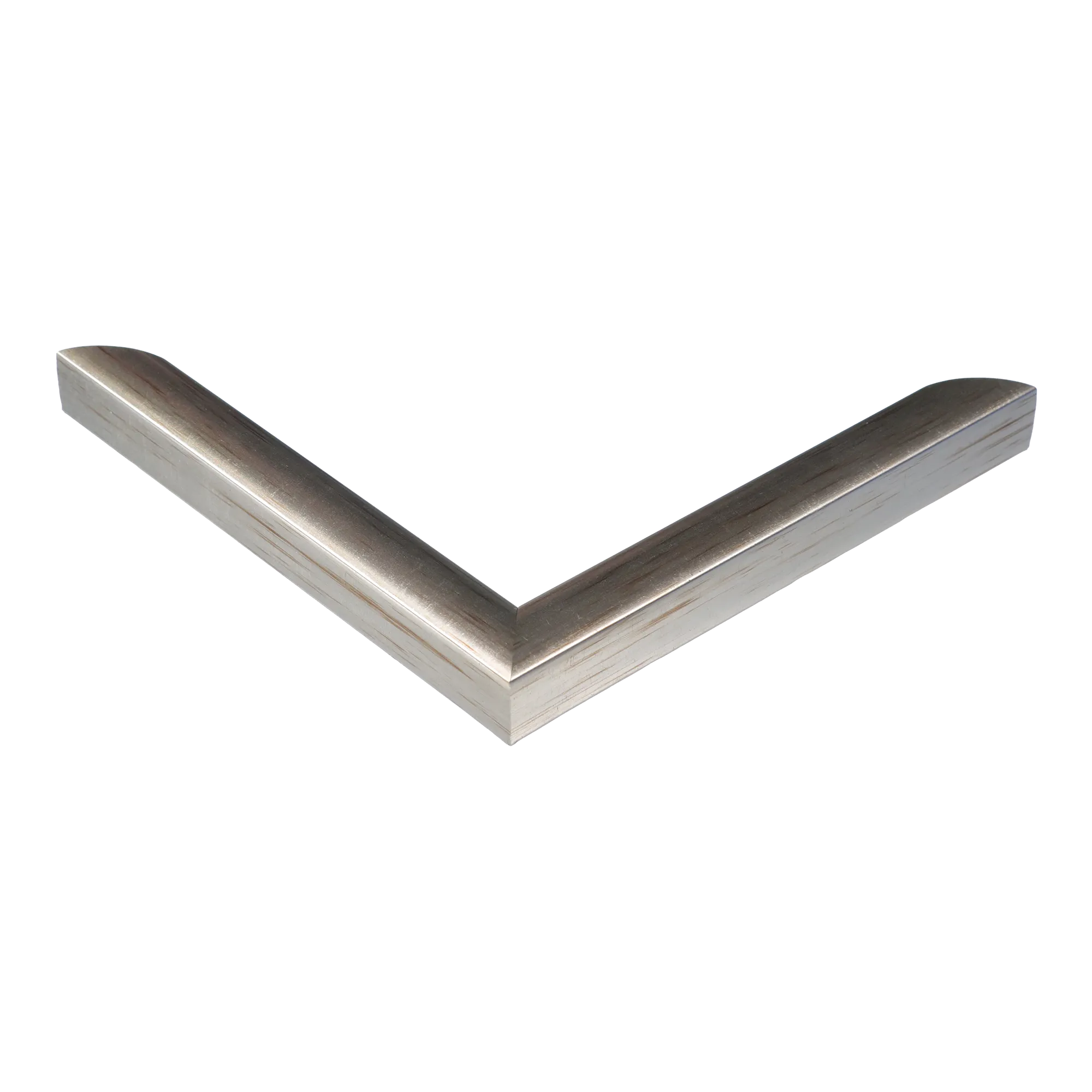 Corner view of Echo in silver picture frame