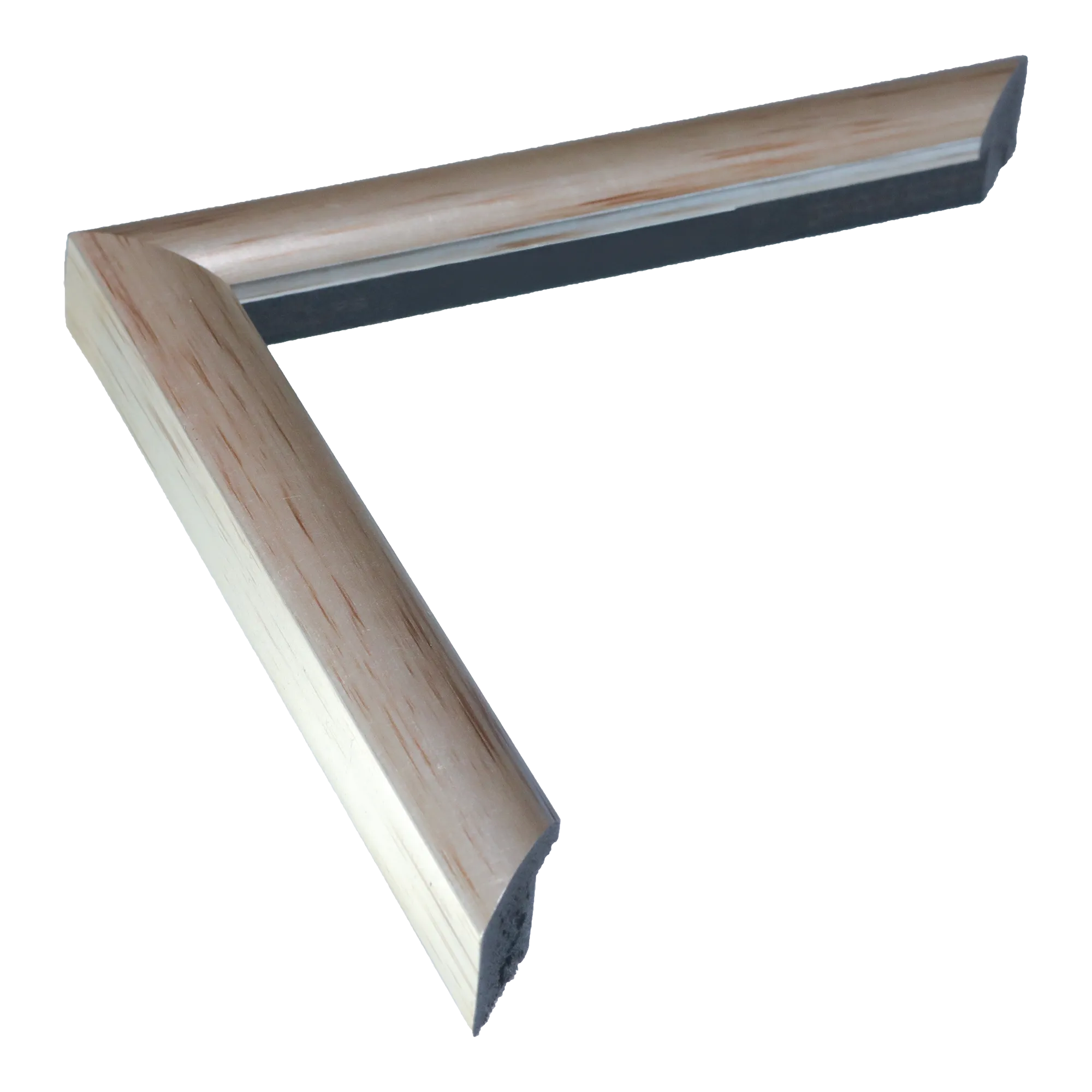 Echo in silver picture frame