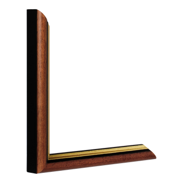 Vertical view of empire i brown & gold picture frame
