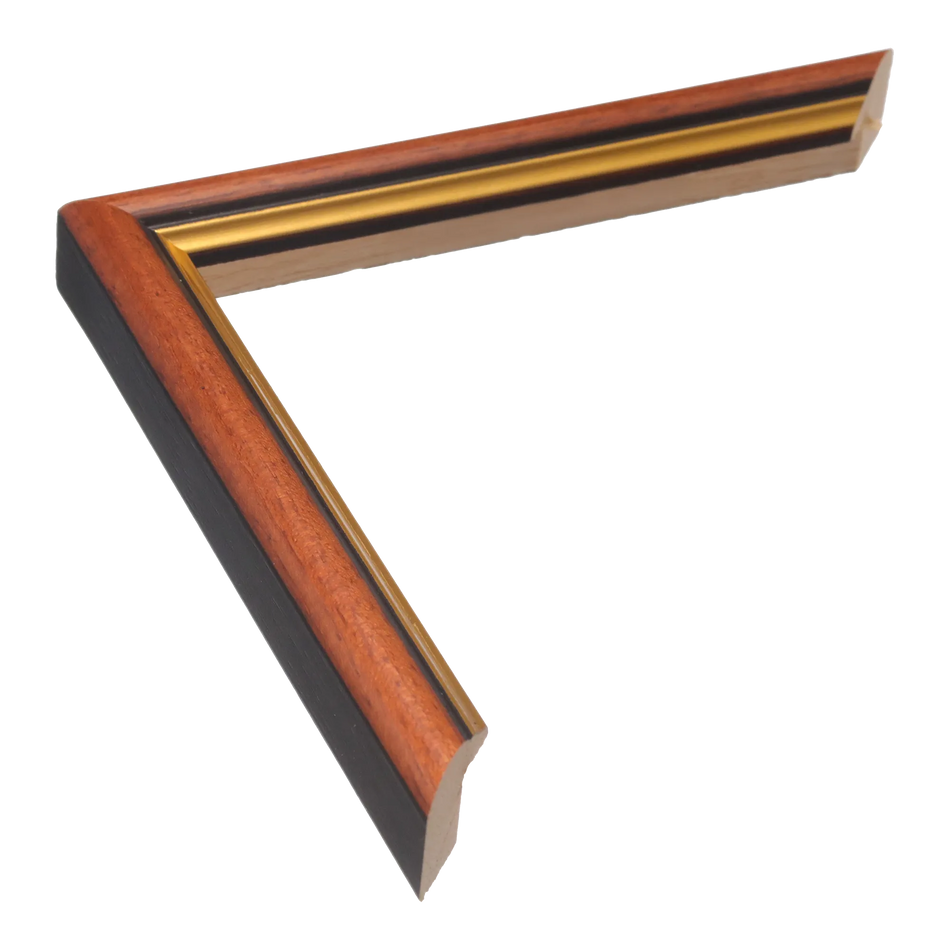 Empire I in brown & gold picture frame