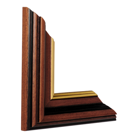 Empire III in brown & gold picture frame