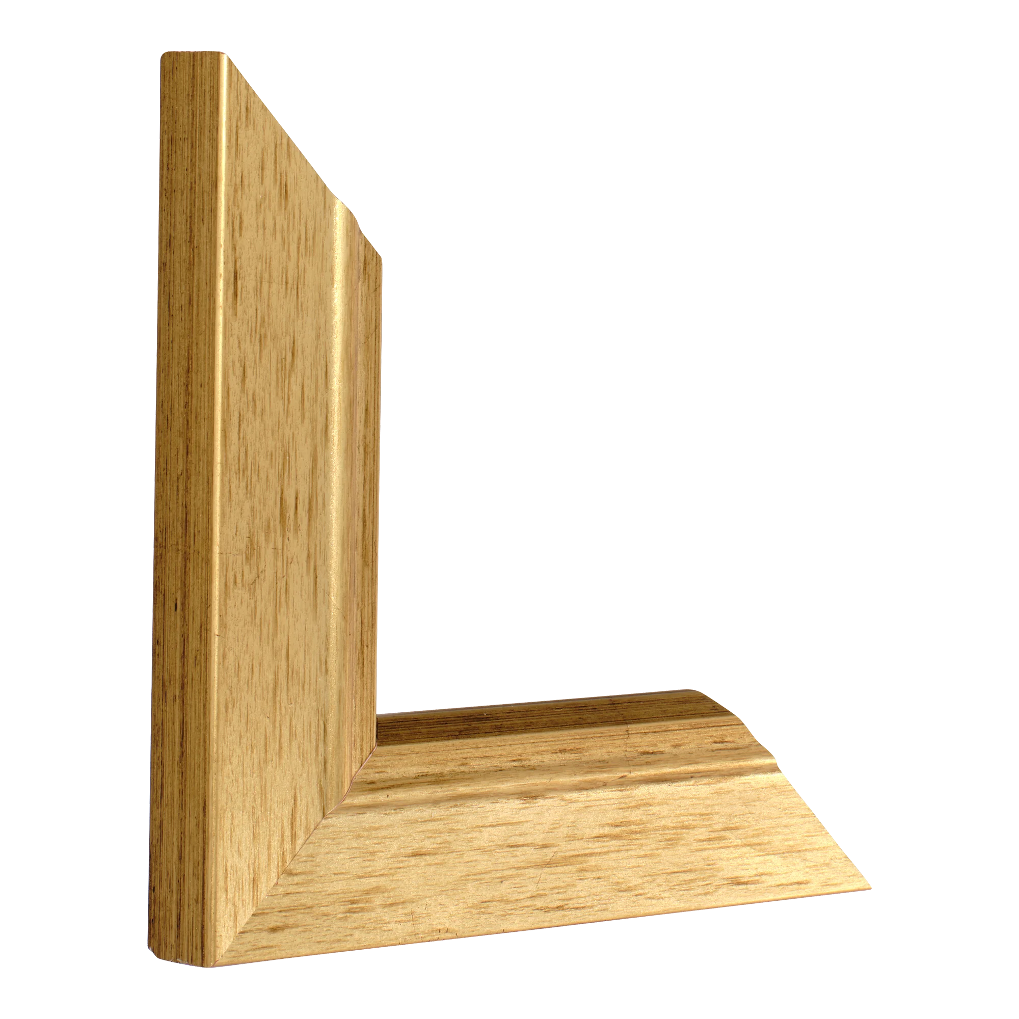 Vertical view of florenza gold picture frame