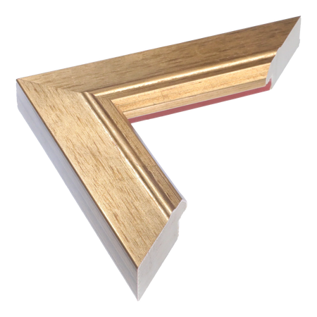 Florenza in gold picture frame