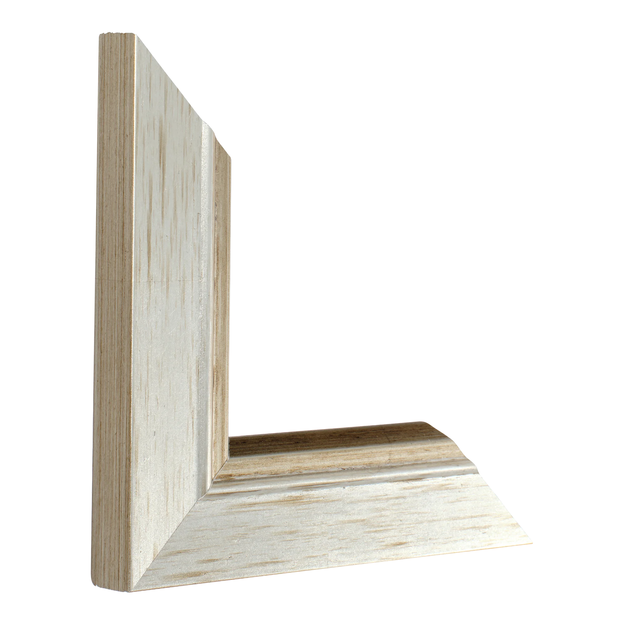 Vertical view of florenza silver picture frame