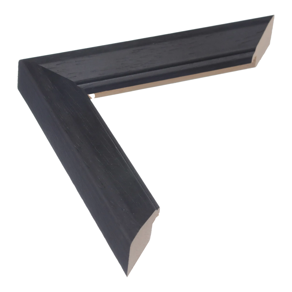 Geo in black picture frame