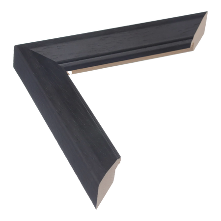 Geo in black picture frame