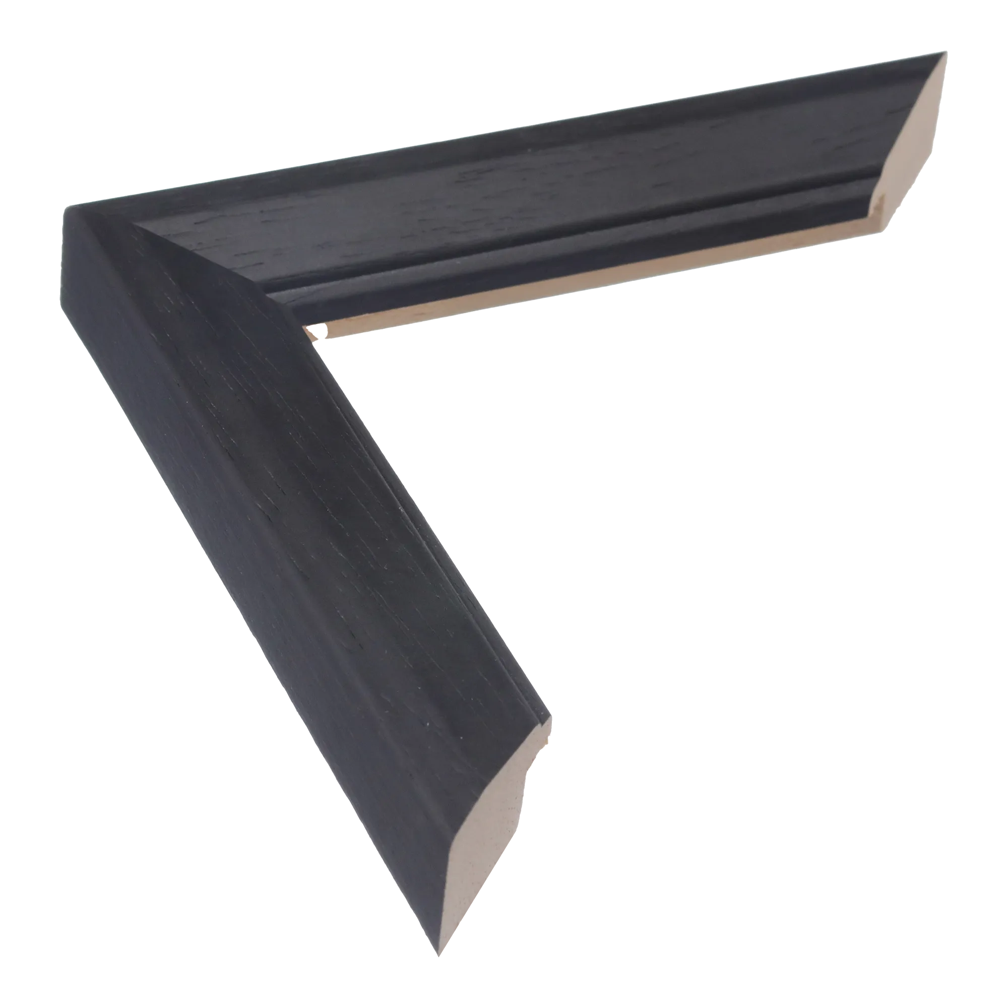 Geo in black picture frame