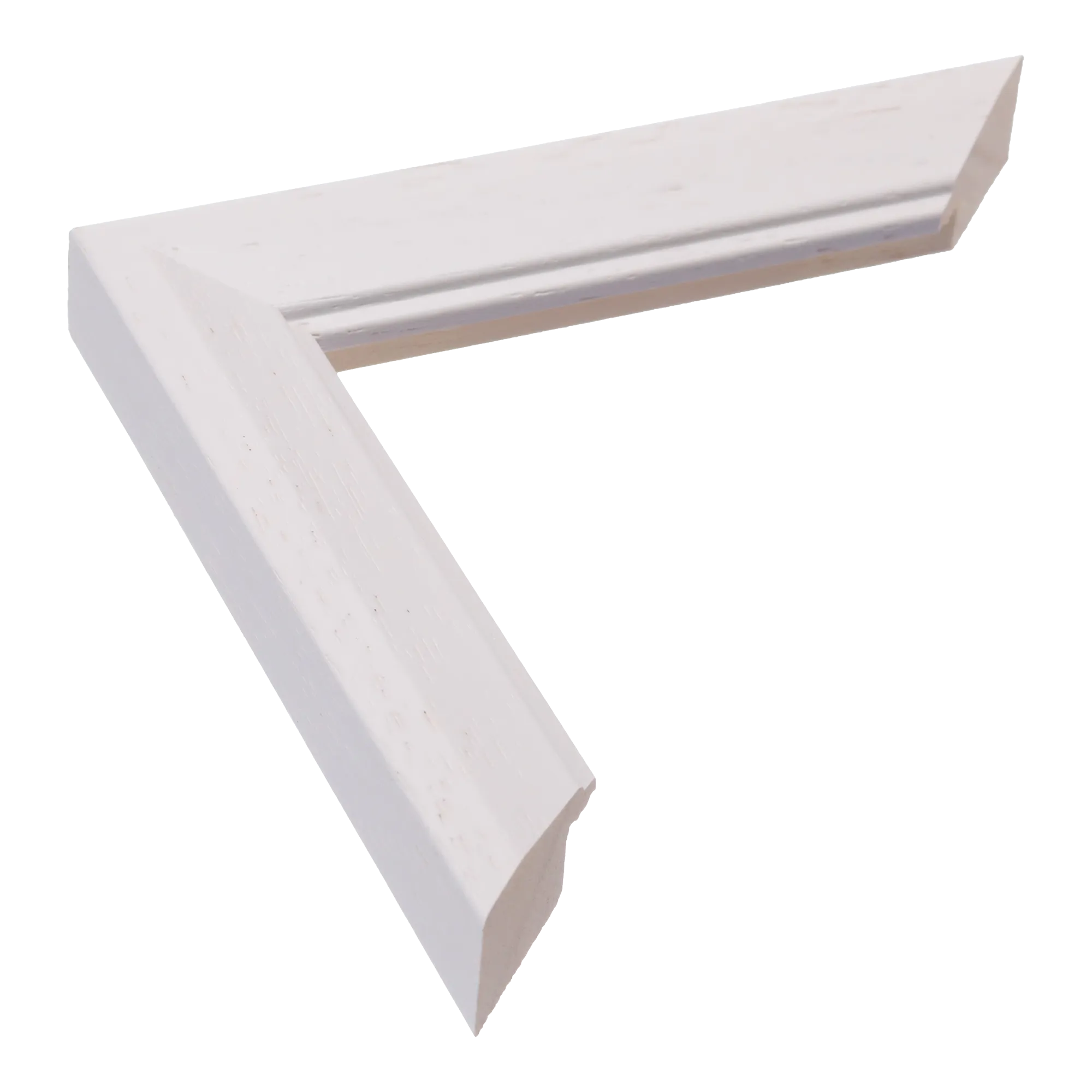 Geo in white picture frame