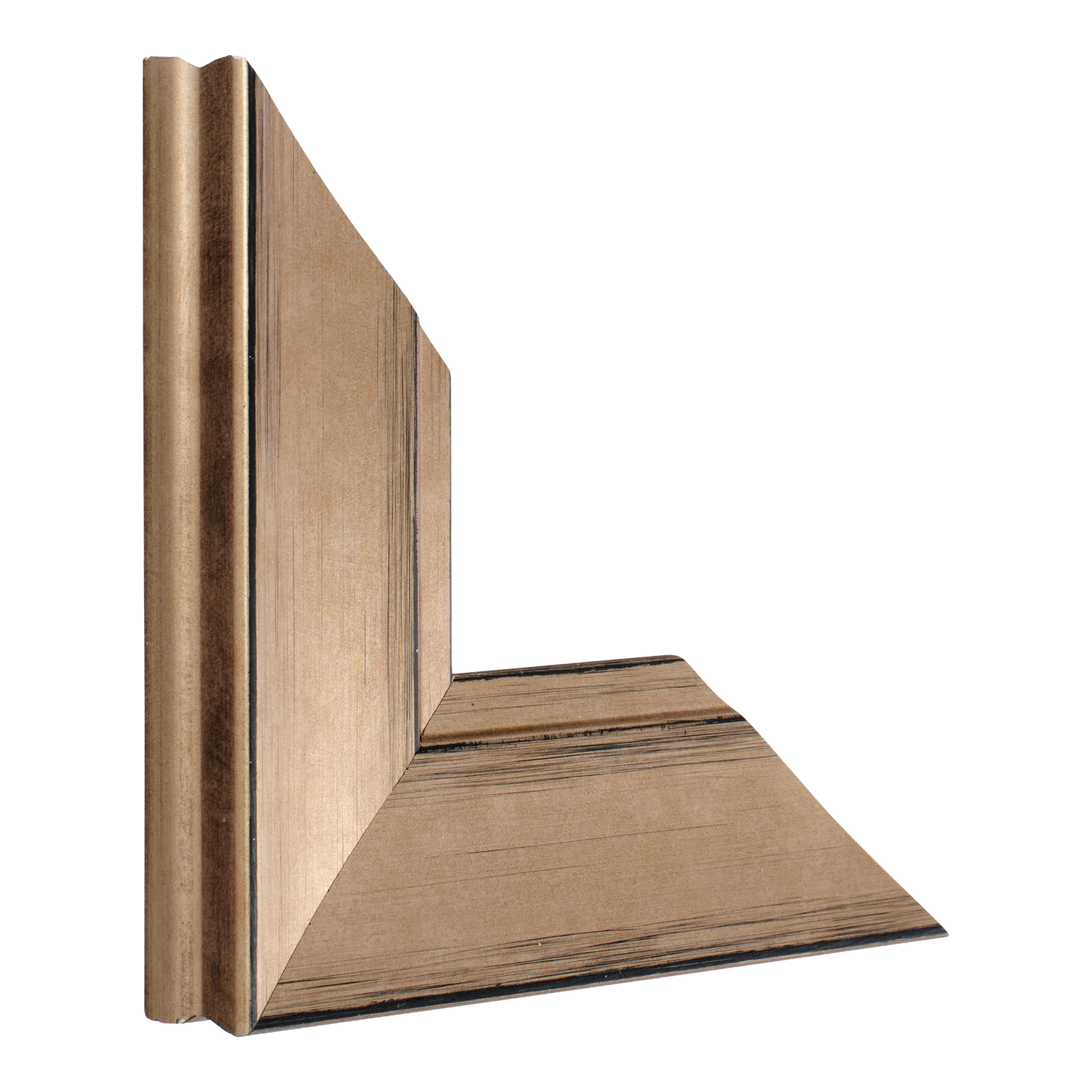 Vertical view of hermitage bronze picture frame