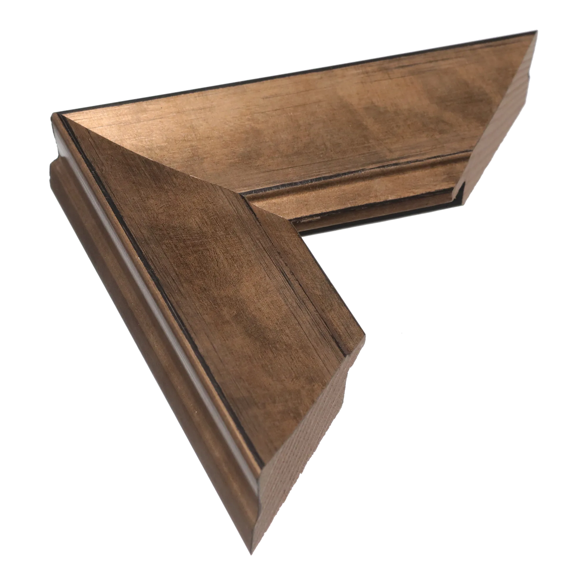 Hermitage in bronze picture frame