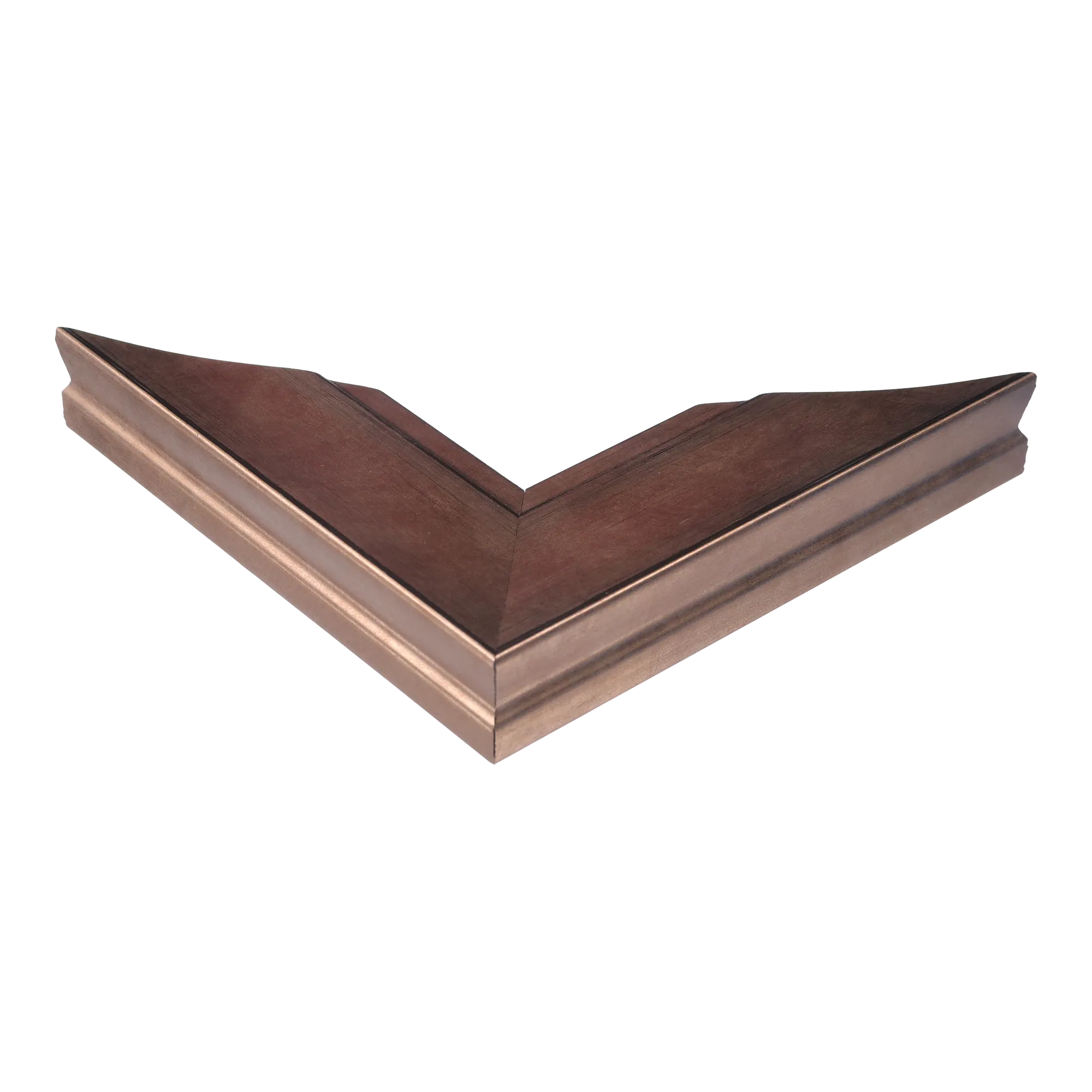 Corner view of Hermitage in bronze picture frame