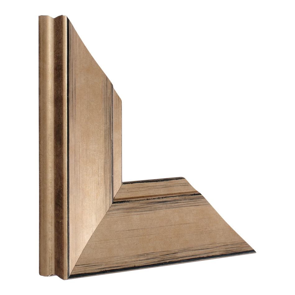 Vertical view of hermitage bronze picture frame