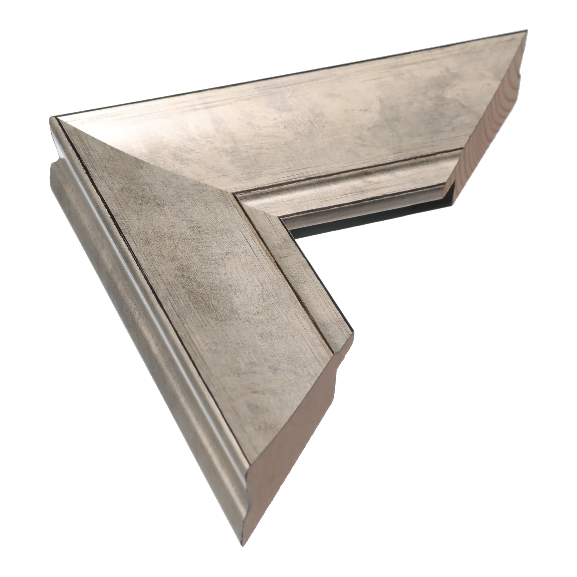 Hermitage in silver picture frame