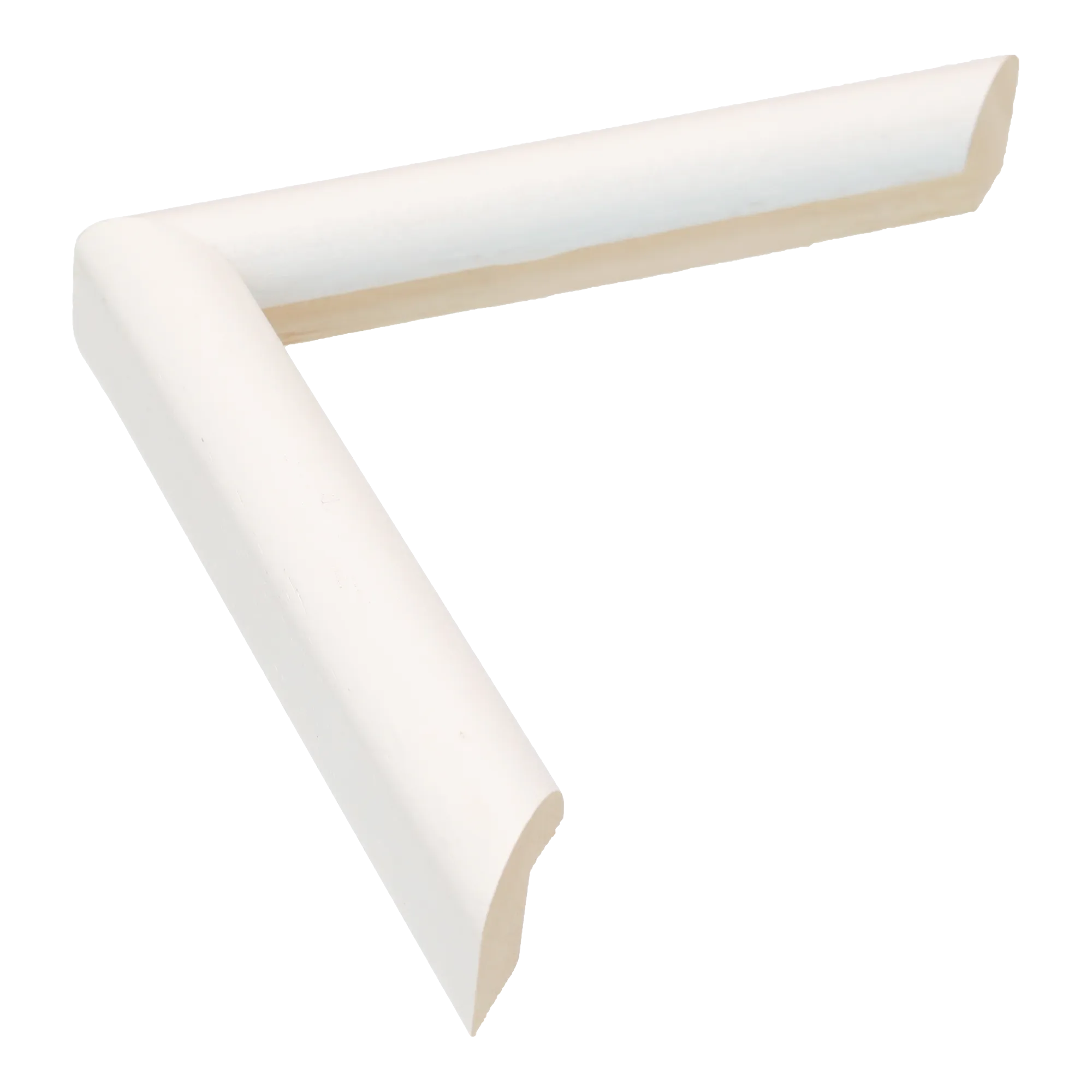 Hockey I in white grain picture frame