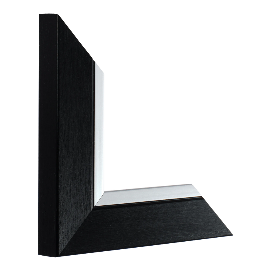 Inset in black & silver picture frame