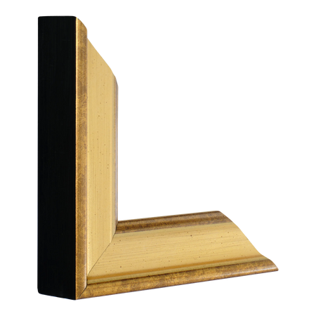 Vertical view of majestic gold picture frame sample