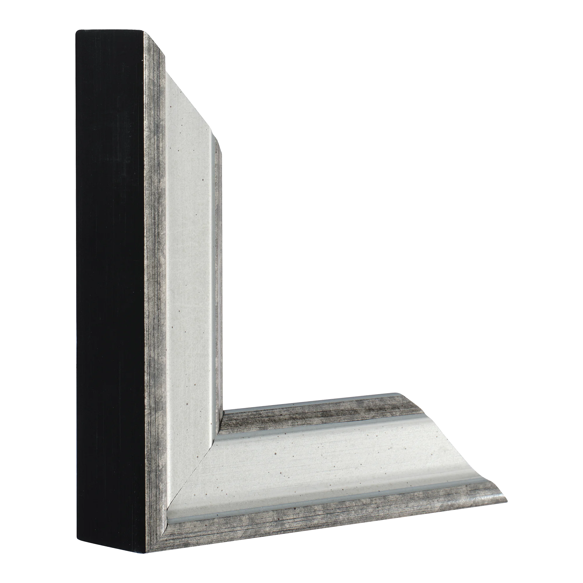 Vertical view of majestic silver picture frame