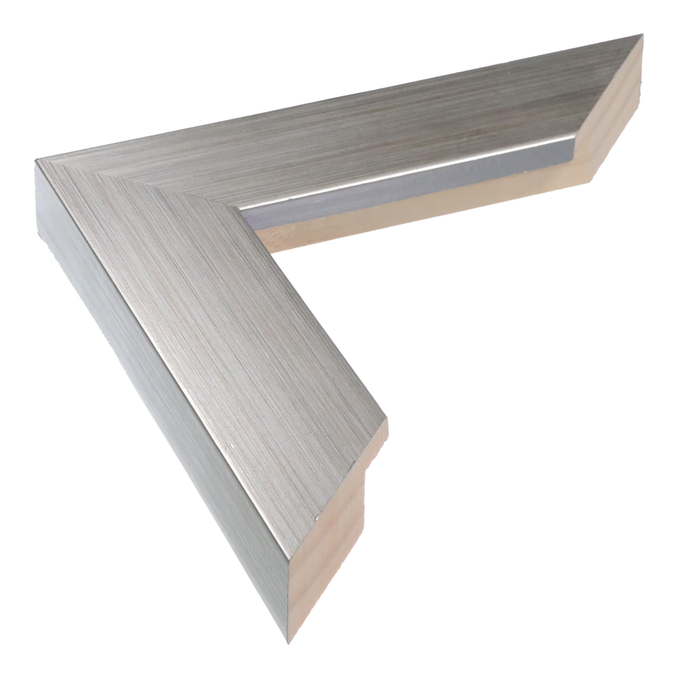 Metro in brushed silver picture frame