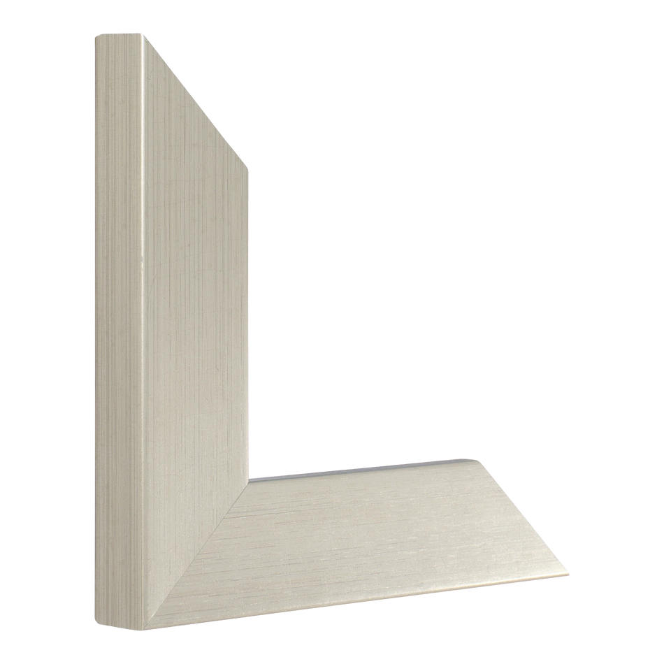 Vertical view of metro champagne picture frame