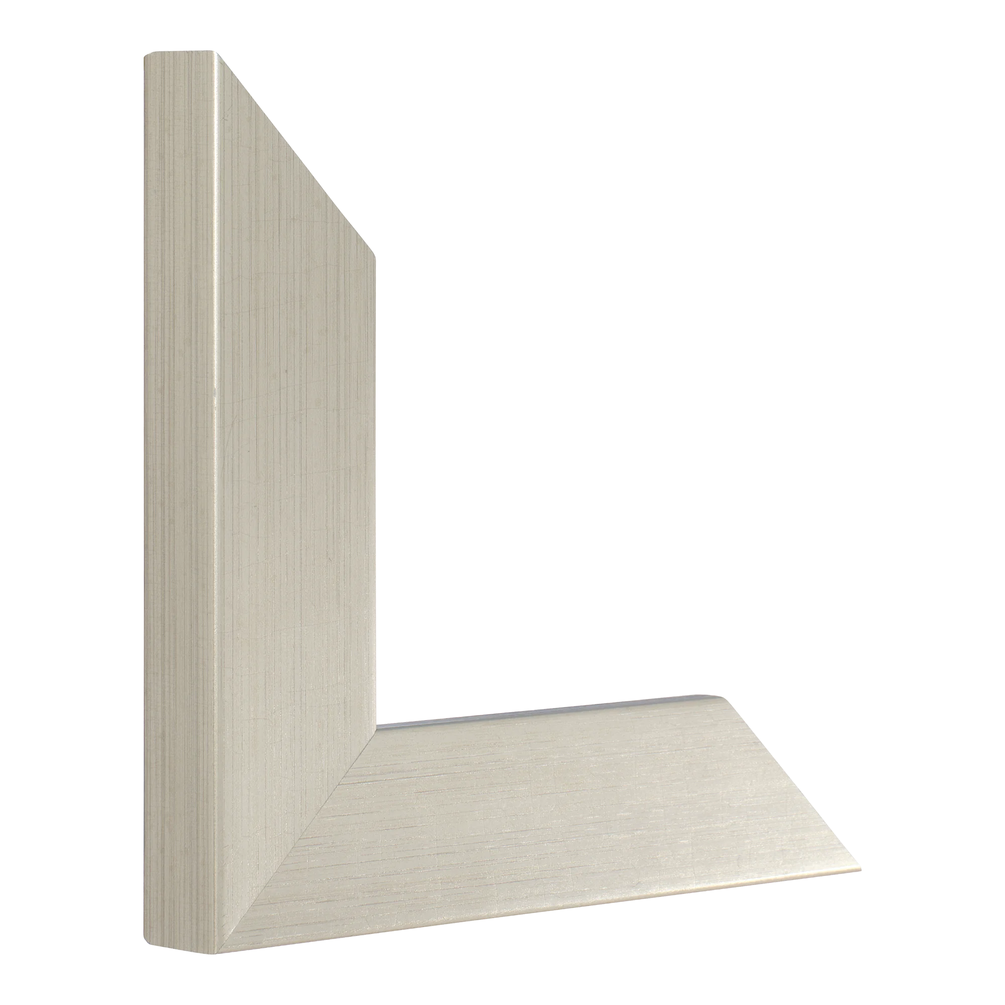 Vertical view of metro champagne picture frame