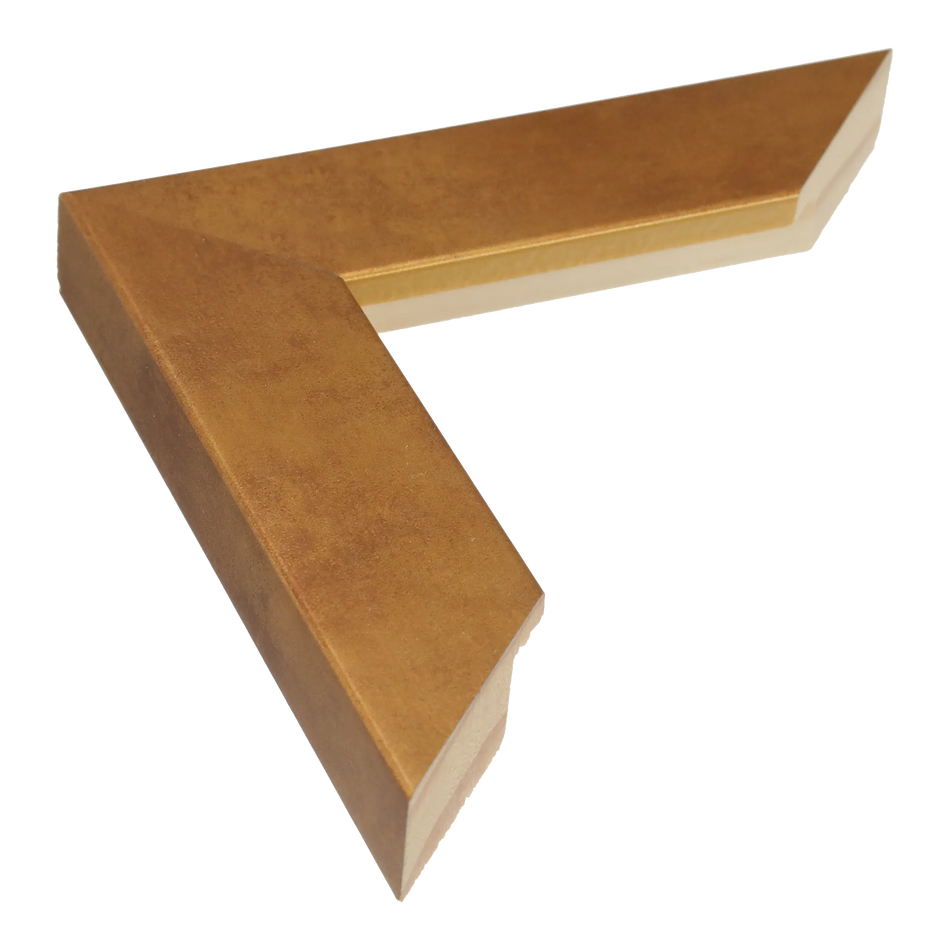 Metro in distressed gold picture frame