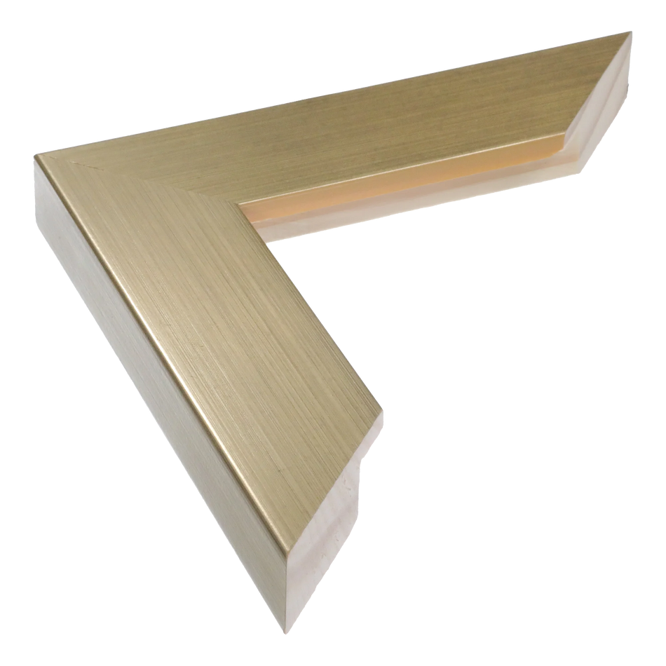 Metro in soft gold picture frame