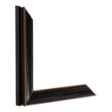 Vertical view of monarch black picture frame