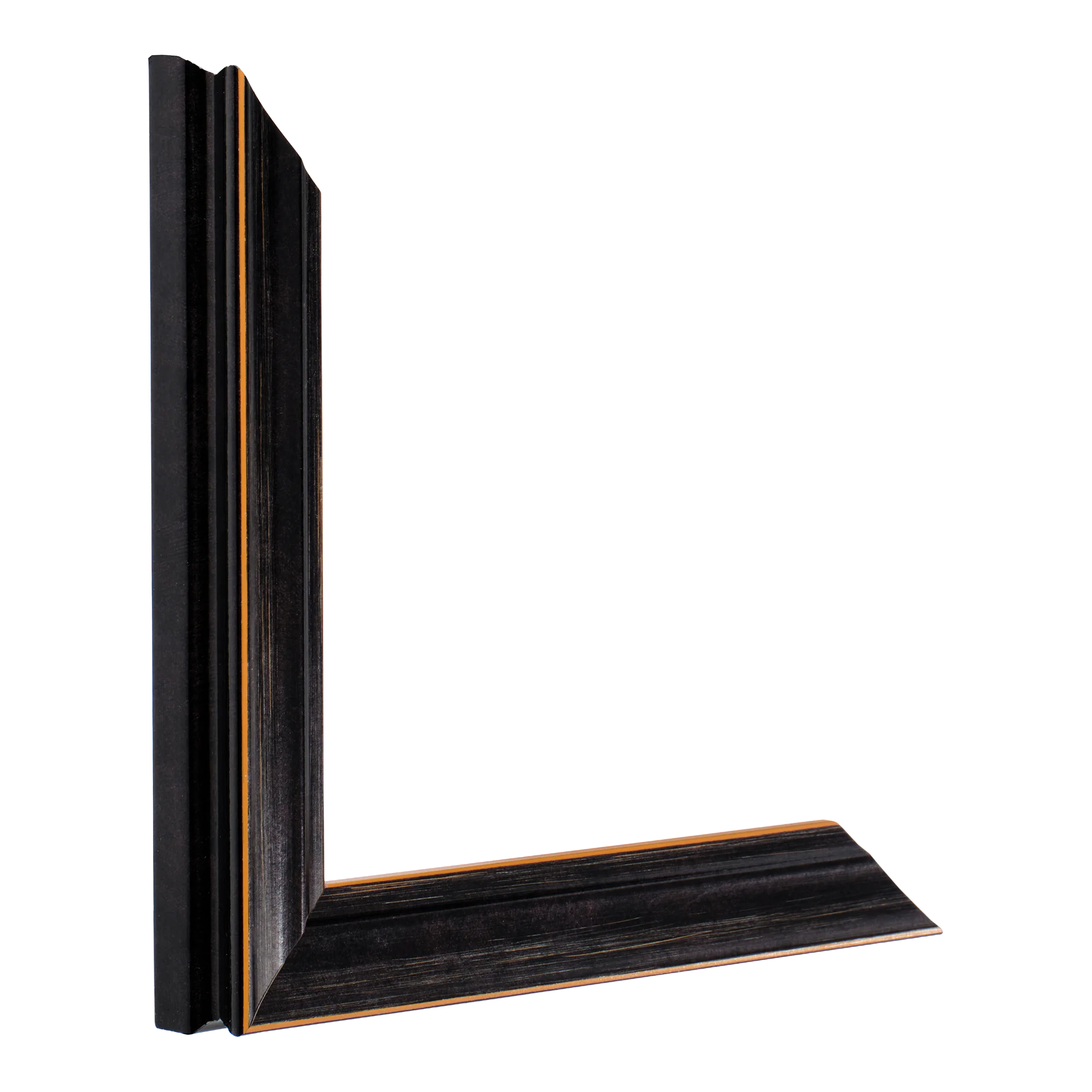 Vertical view of monarch black picture frame