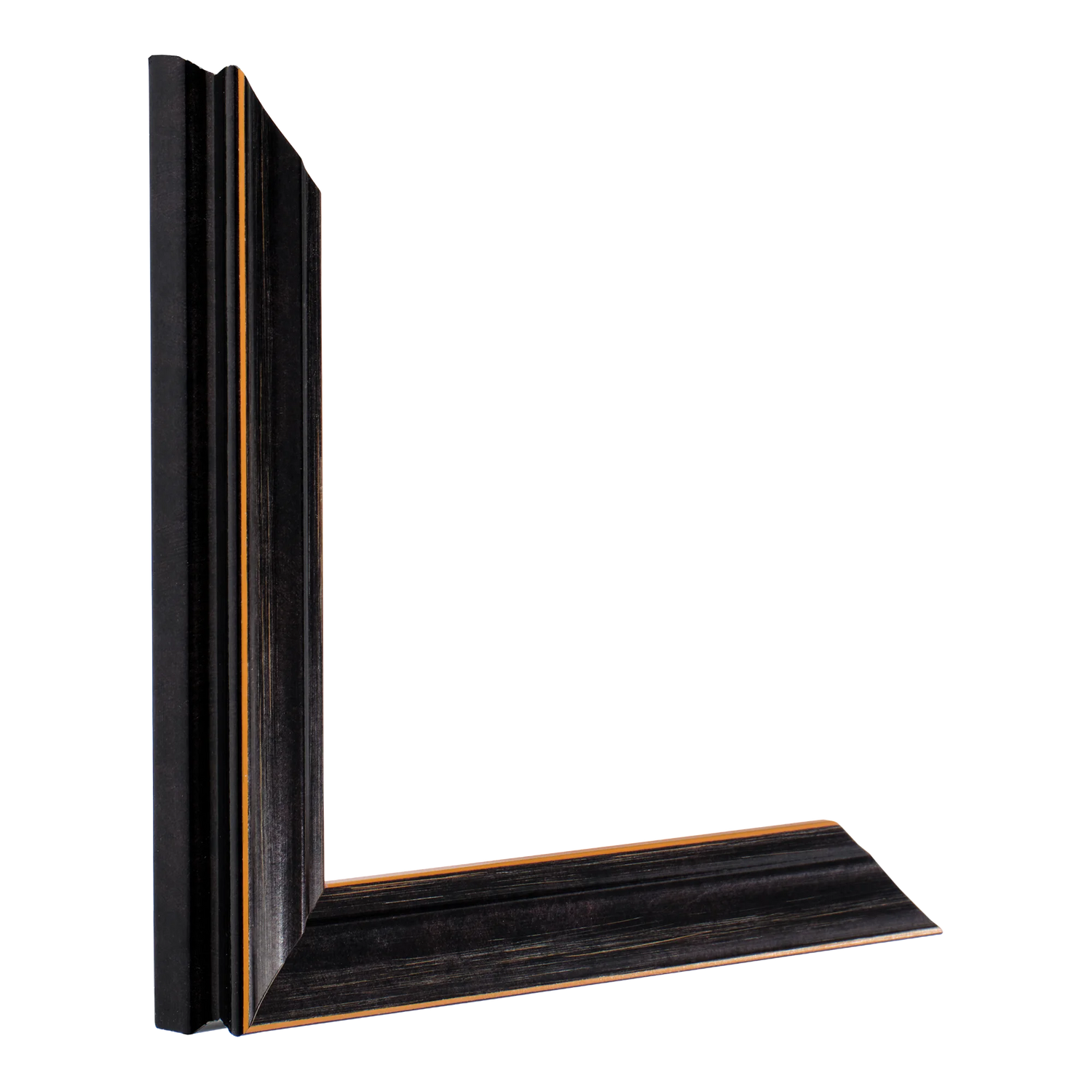 Vertical view of monarch black picture frame