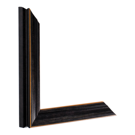 Vertical view of monarch black picture frame
