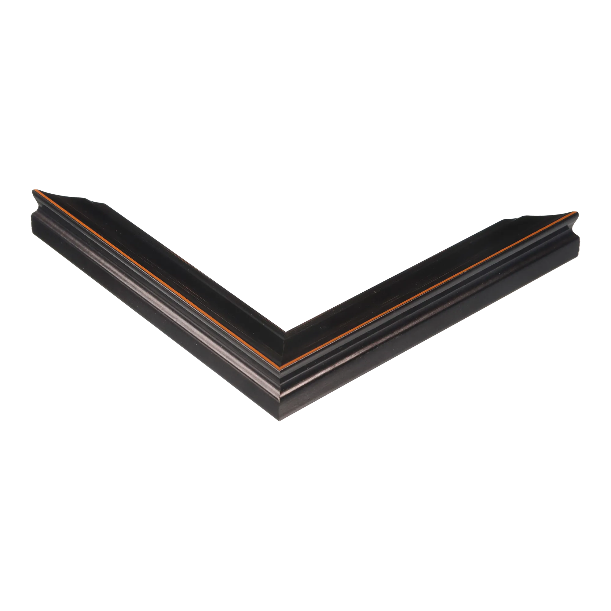 Corner view of Monarch in black picture frame