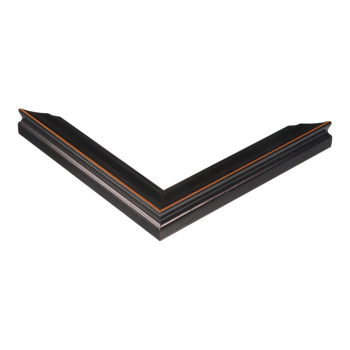 Corner view of Monarch in black picture frame