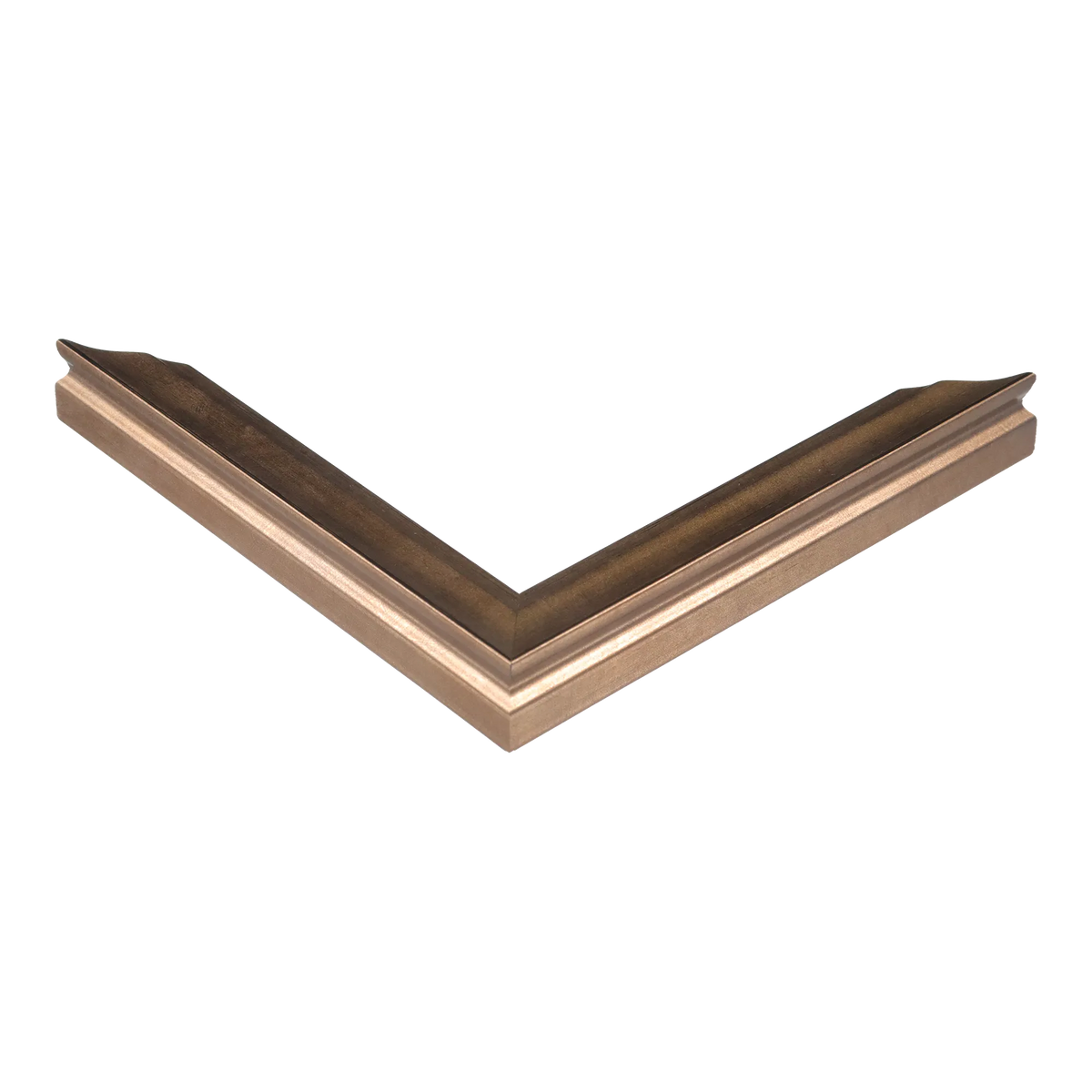 Corner view of Monarch in bronze picture frame