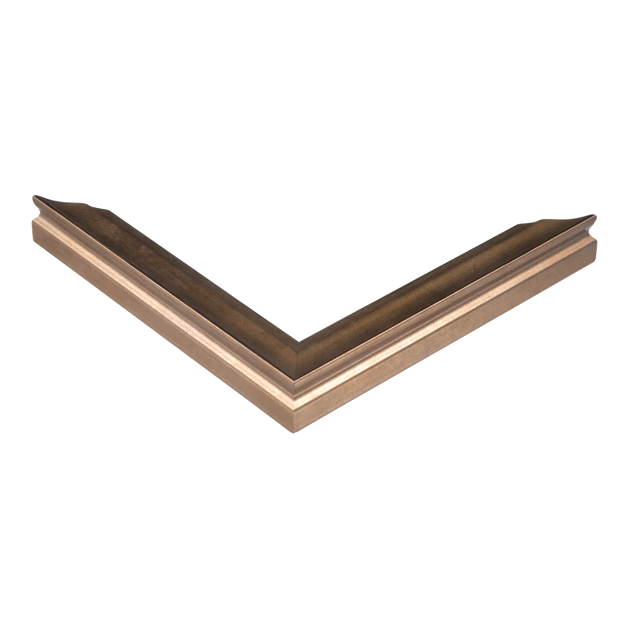 Corner view of Monarch in bronze picture frame