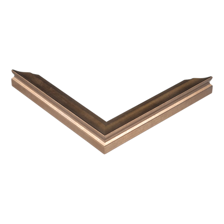 Corner view of Monarch in bronze picture frame