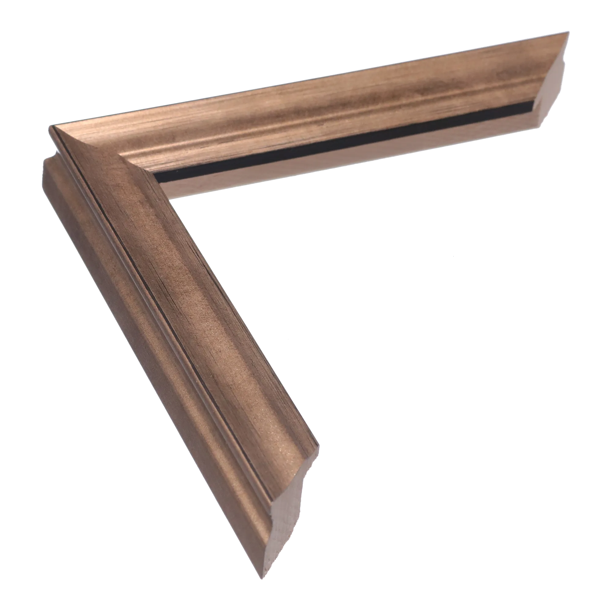 Monarch in bronze picture frame