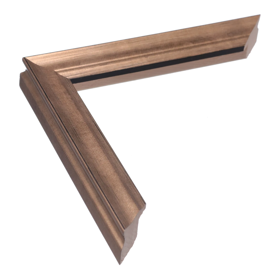 Monarch in bronze picture frame