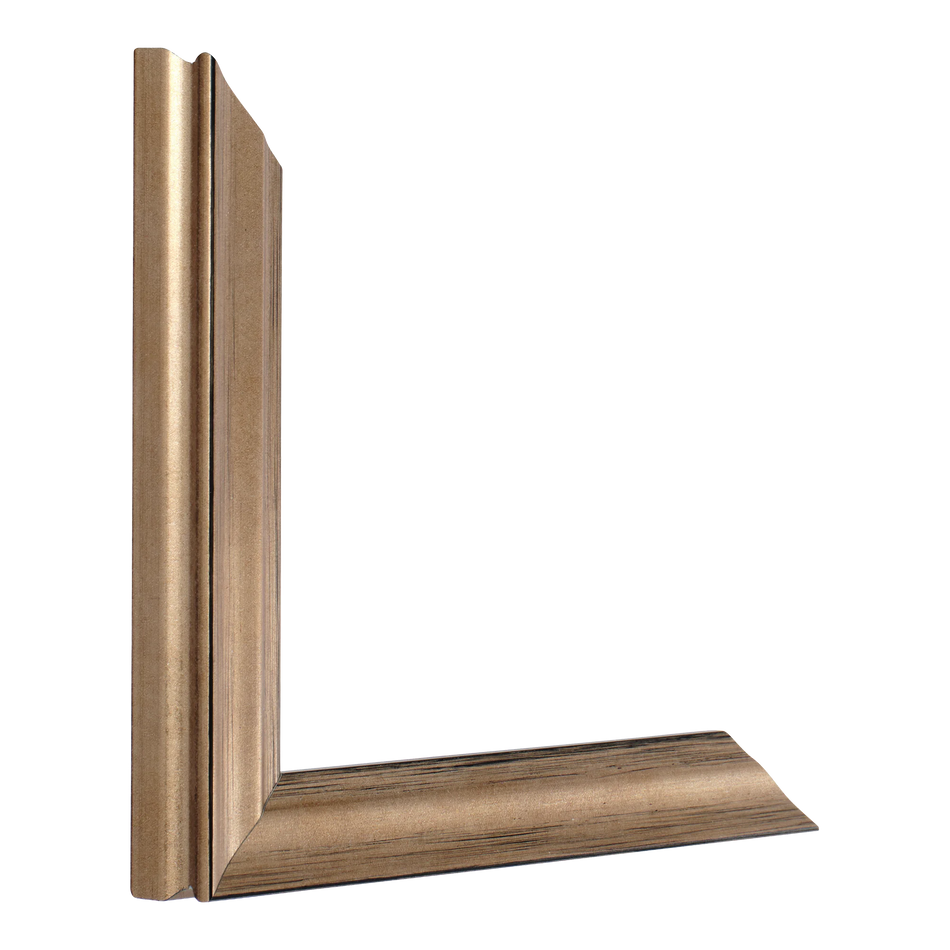 Vertical view of monarch bronze picture frame