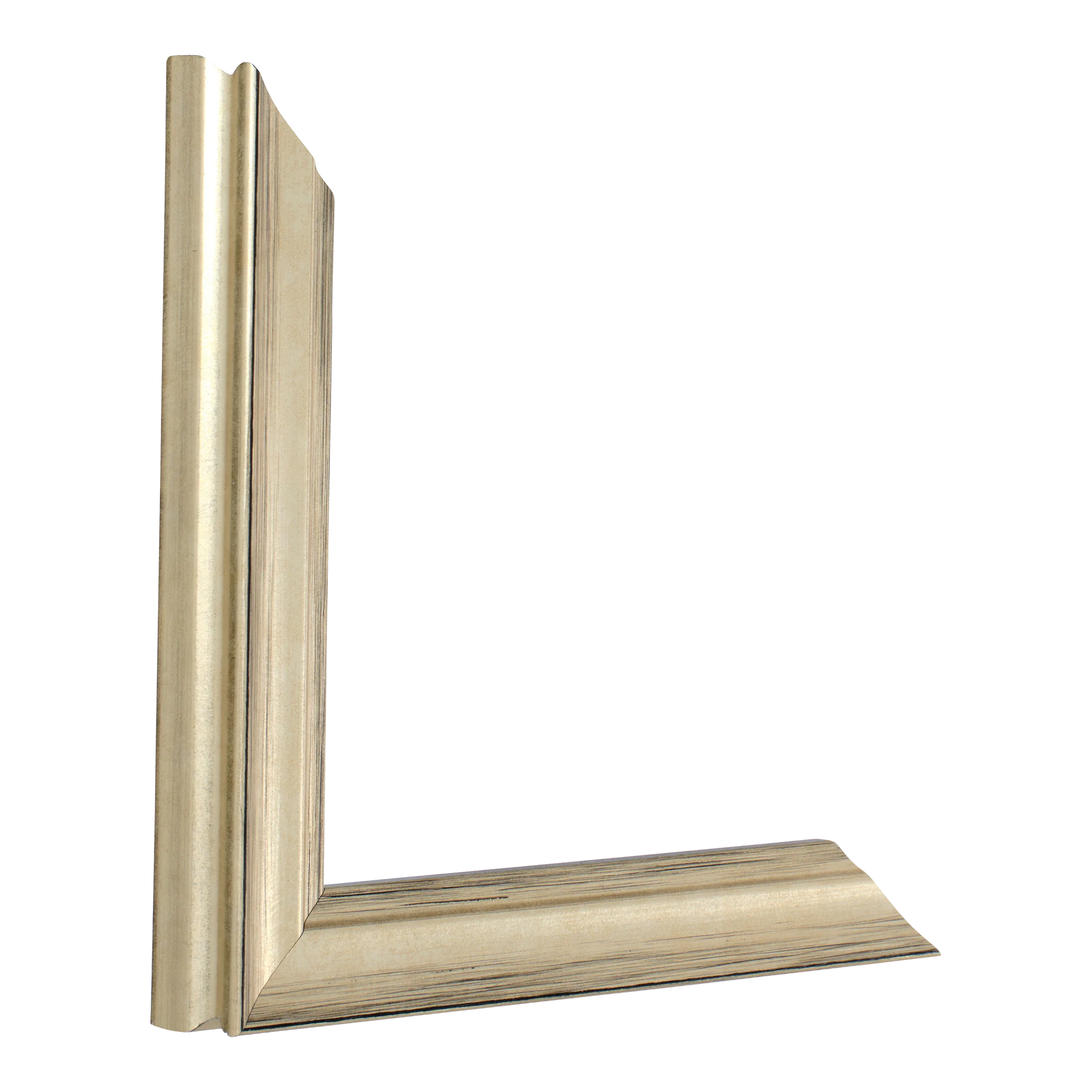 Vertical view of monarch champagne picture frame