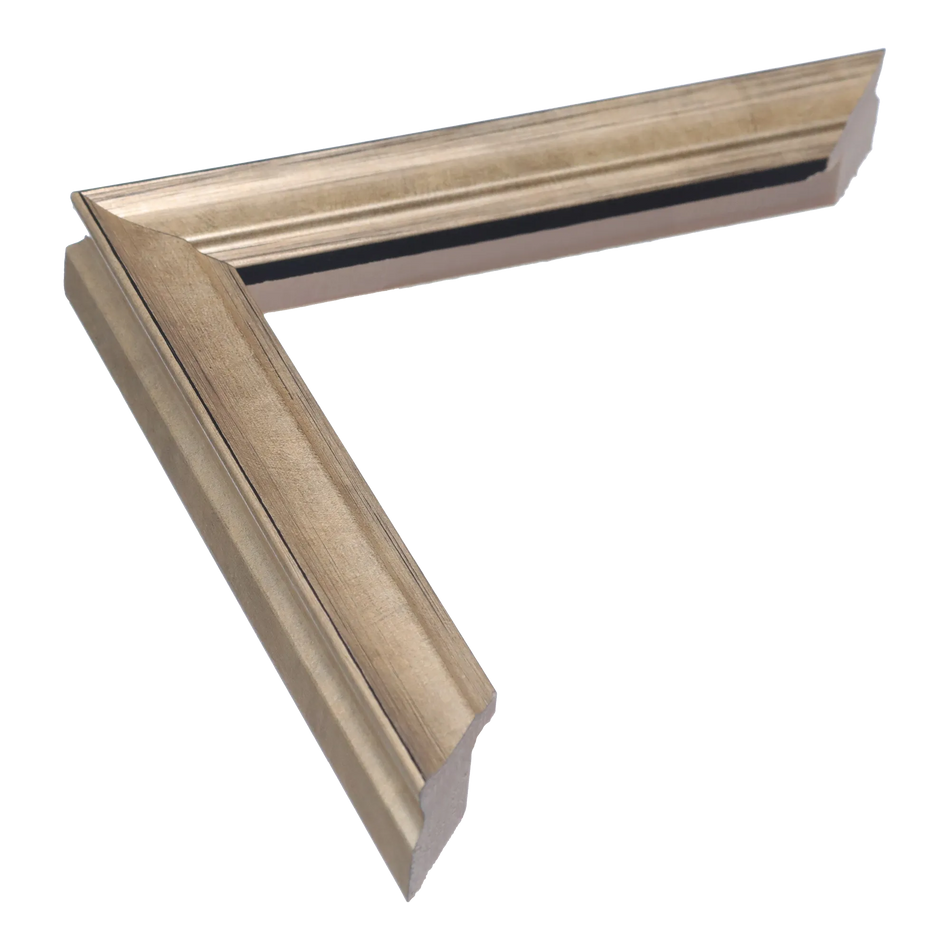 Monarch in champagne picture frame